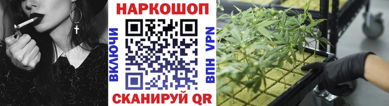 Купить наркотики цена Верхняя Пышма Псилоцибиновые грибы  Амфетамин  Кокаин  ГАШИШ  Марихуана  KRAKEN ссылки  СОЛЬ  Меф 