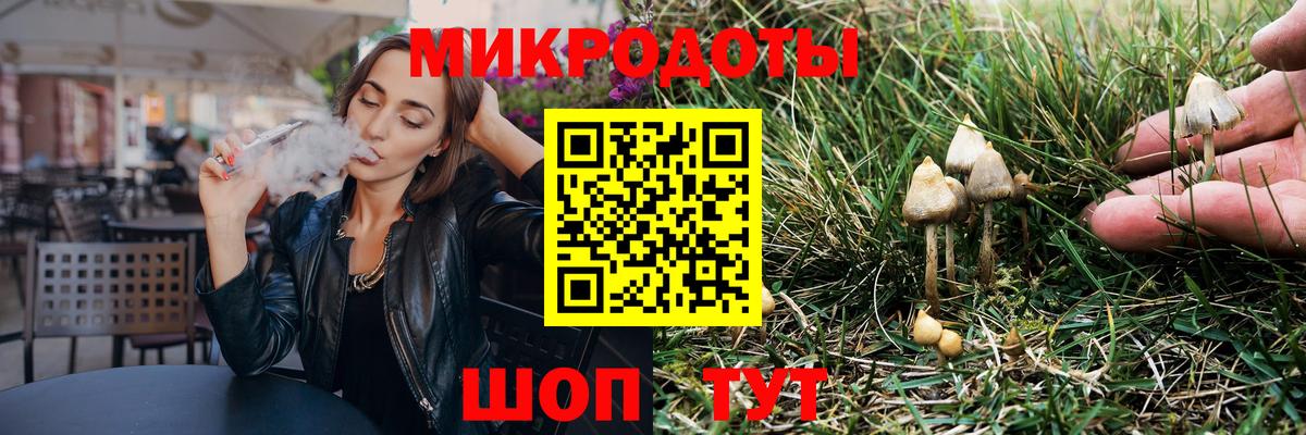 Галлюциногенные грибы Psilocybine cubensis  Вход с VPN  Верхняя Пышма 