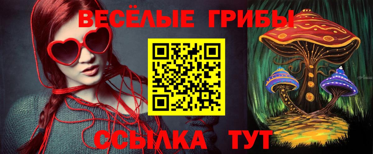 APVP Верхняя Пышма