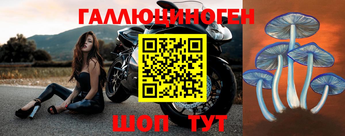 Галлюциногенные грибы MAGIC MUSHROOMS  Верхняя Пышма  Галлюциногенные грибы прущие грибы 
