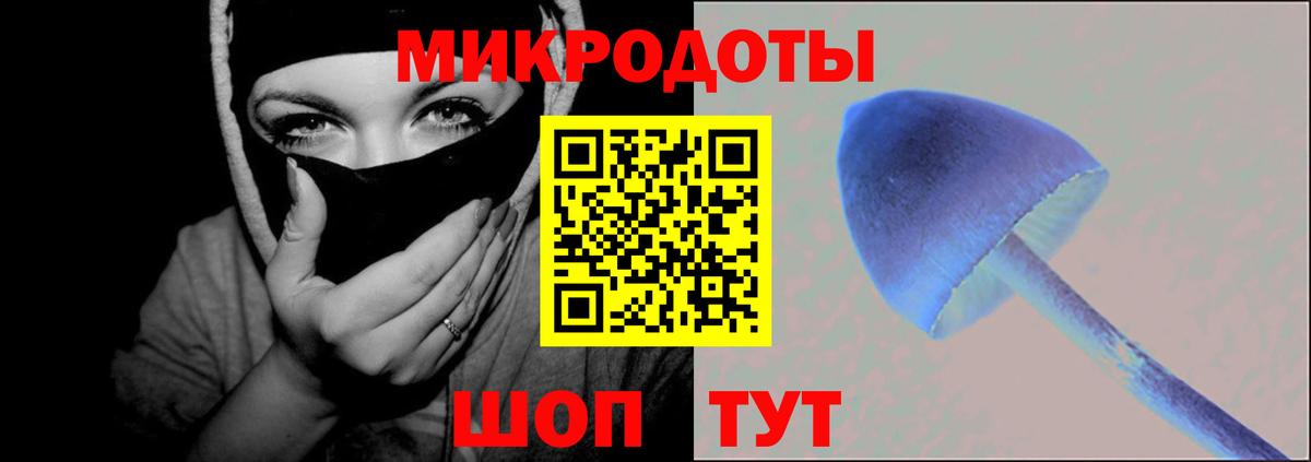 Псилоцибиновые грибы мухоморы Верхняя Пышма